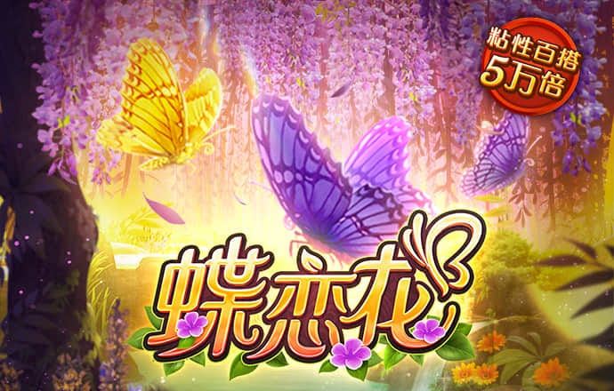 大豆行情网51dado2019